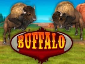 jogo de roleta online